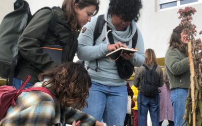 Retour sur la session 2024 : Innovation Lab « Habiter Demain »
